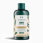 The Body Shop Ginger Scalp Care Conditioner 250 ML showcasing elegant design against a clean background