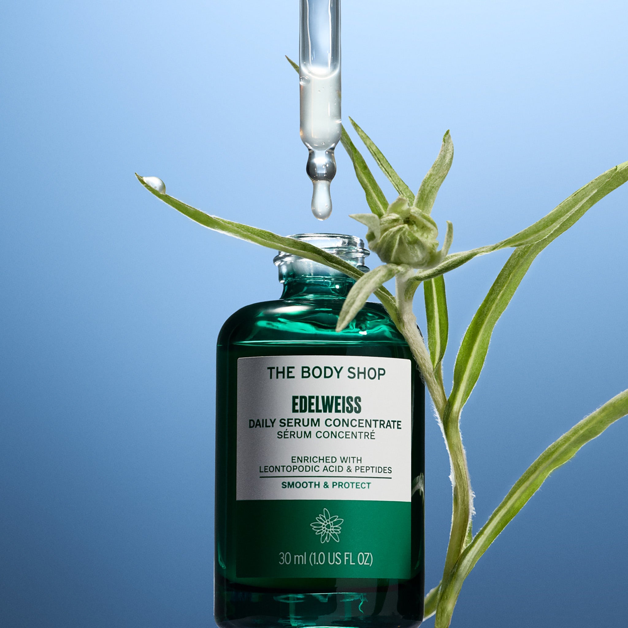 The Body Shop Edelweiss Daily Serum Concentrate with a dropper and plant on a blue background