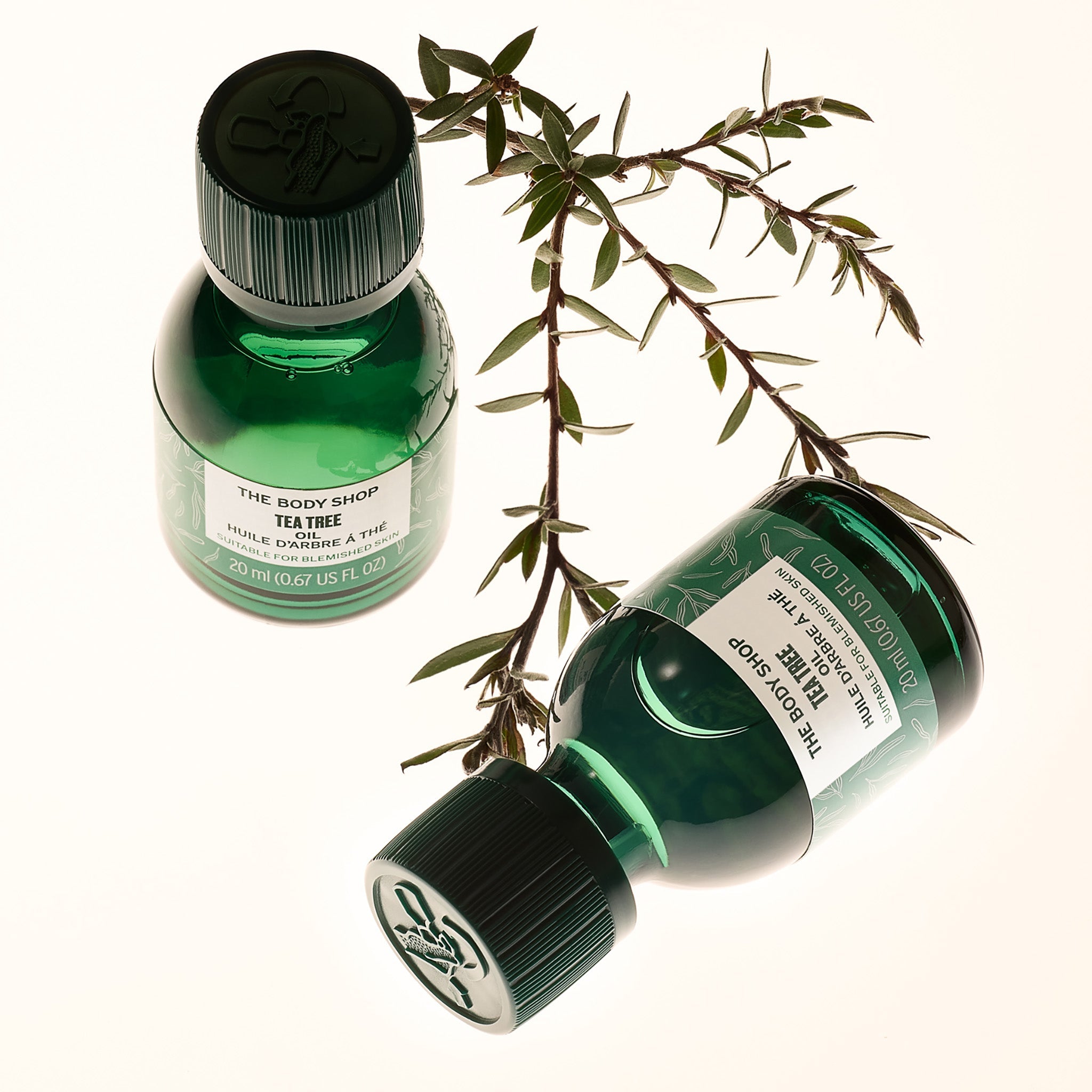 Two bottles of The Body Shop Tea Tree Oil with a twig of Tea Tree plant in the background.