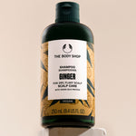 A bottle of The Body Shop Ginger Scalp Care Shampoo 250 ML on a clean backdrop with informative labeling.
