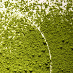 Matcha Latte | Ingredient