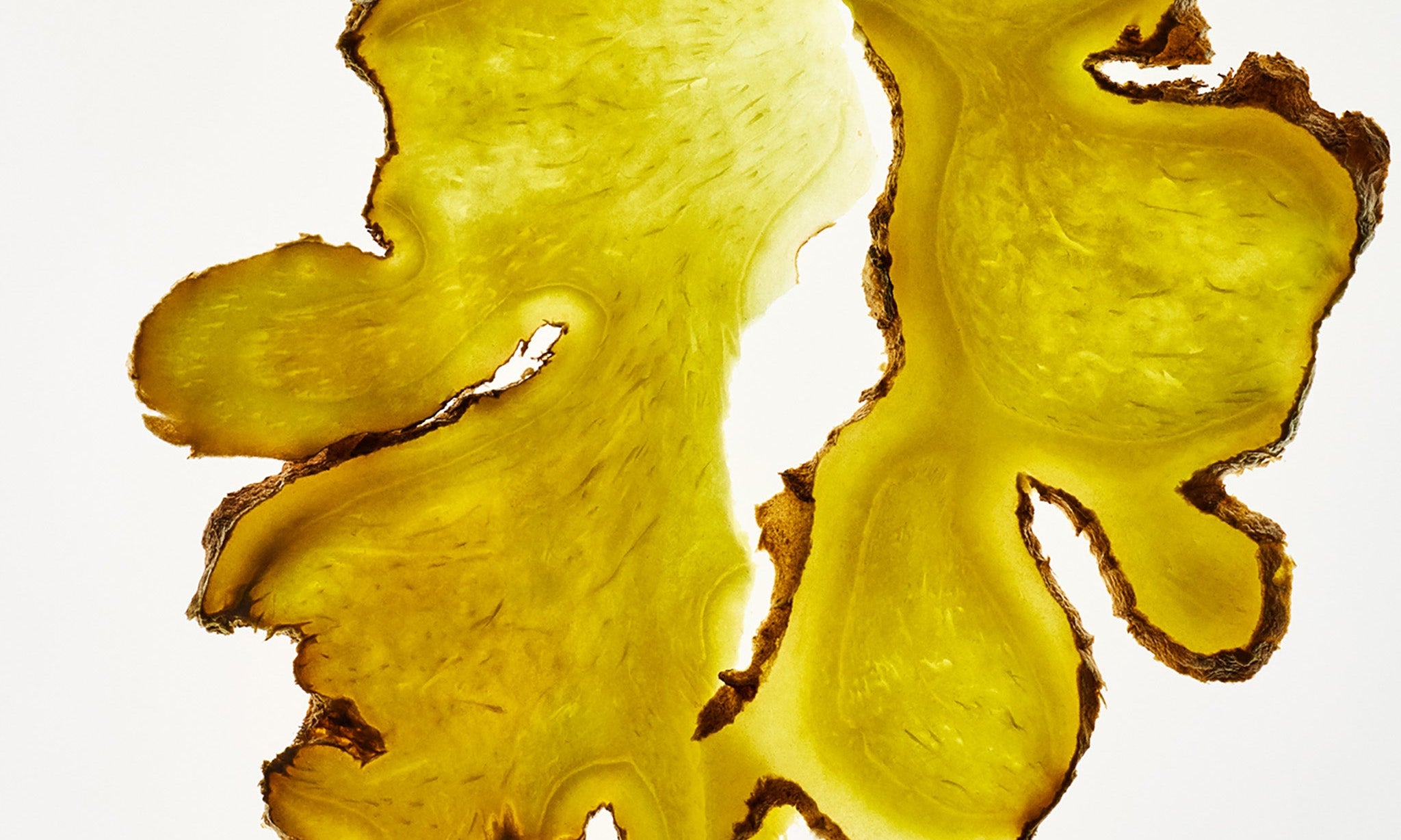 Close-up of sliced ginger root on a white background
