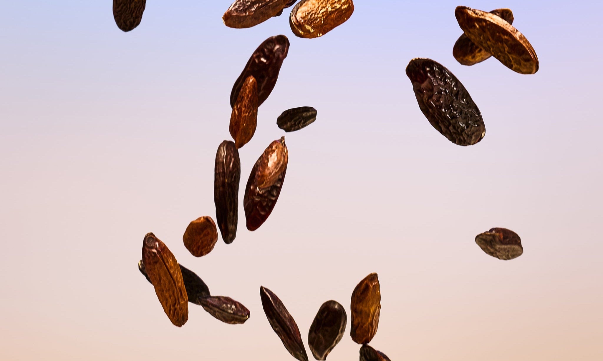Tender Tonka Bean The Body Shop