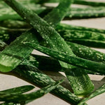 The Body Shop Aloe Soothing Toner