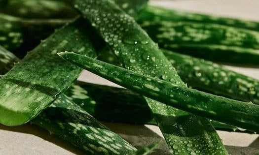 The Body Shop Aloe Soothing Toner