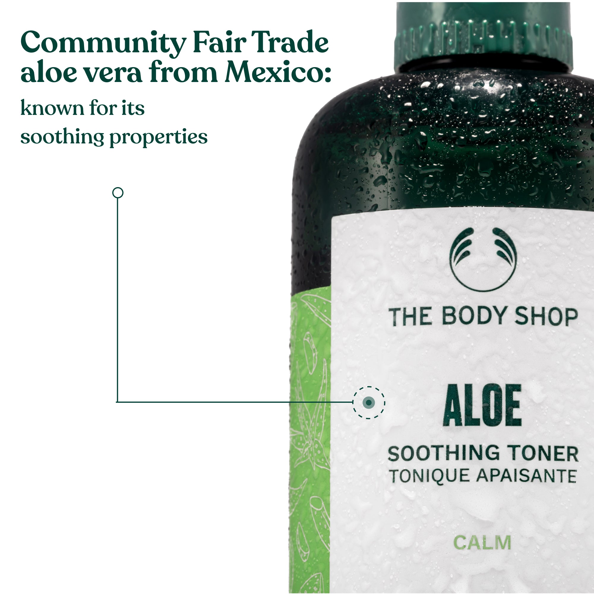 Aloe Toner  Hero Ingredients and Benefits