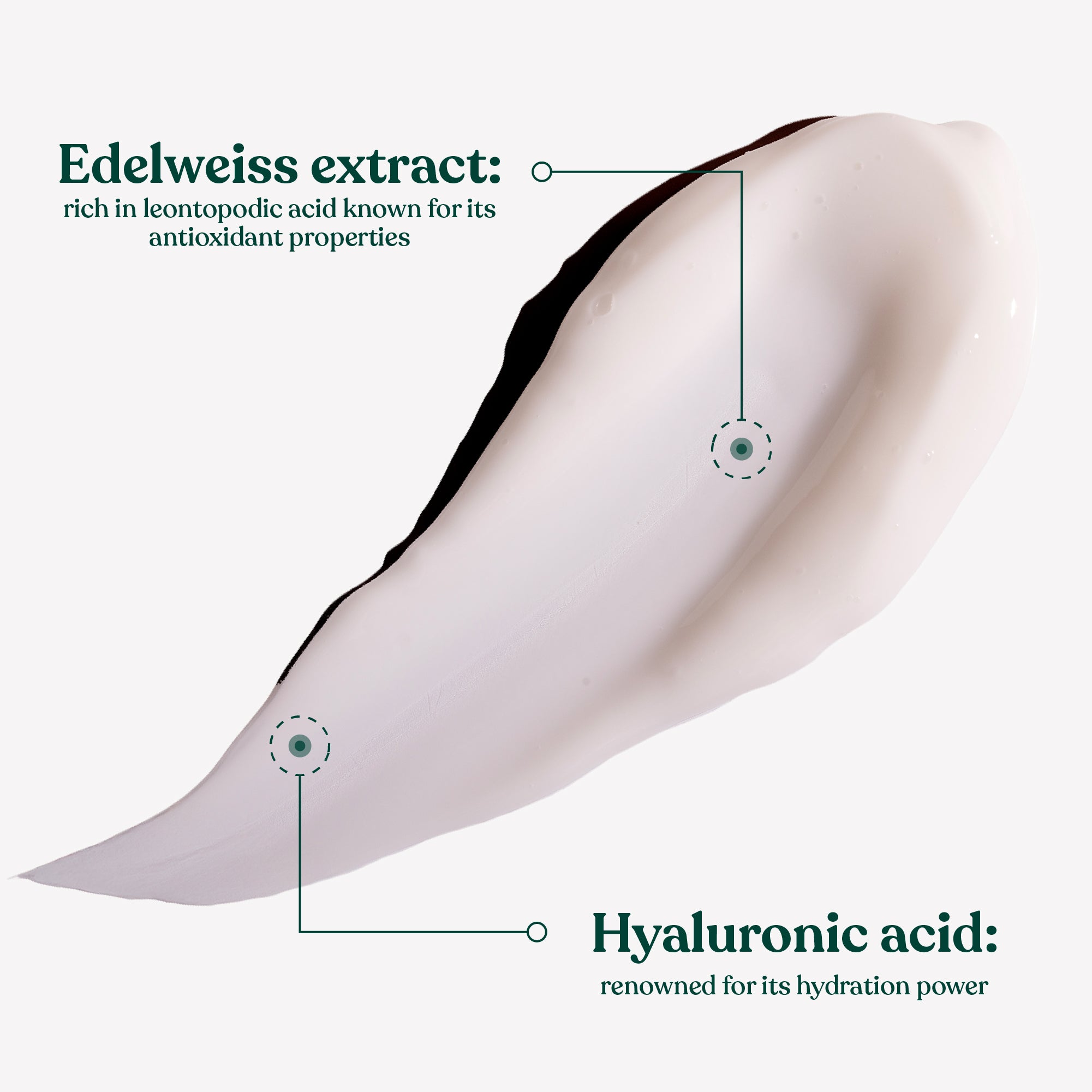Bouncy Sleeping Mask Edelweiss Hero Ingredients and Benefits