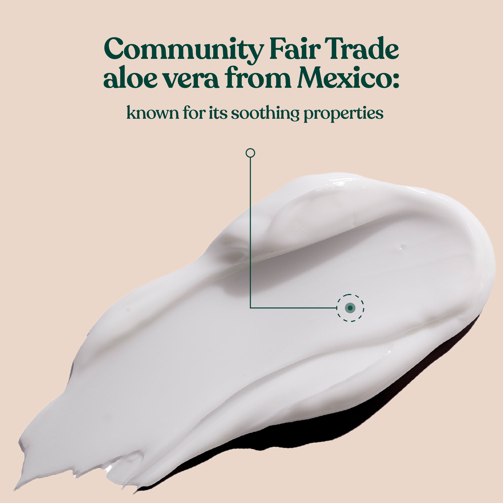 Day Cream Aloe Hero Ingredients and Benefits