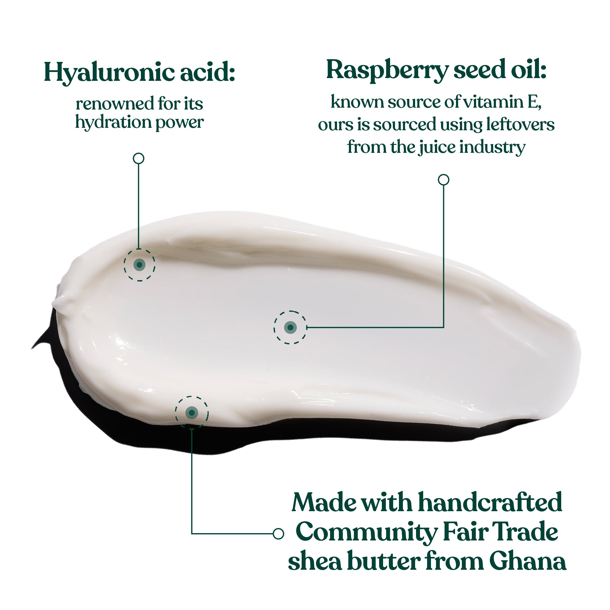 Intense Vitamin E Moisturizer  Hero Ingredients and Benefits