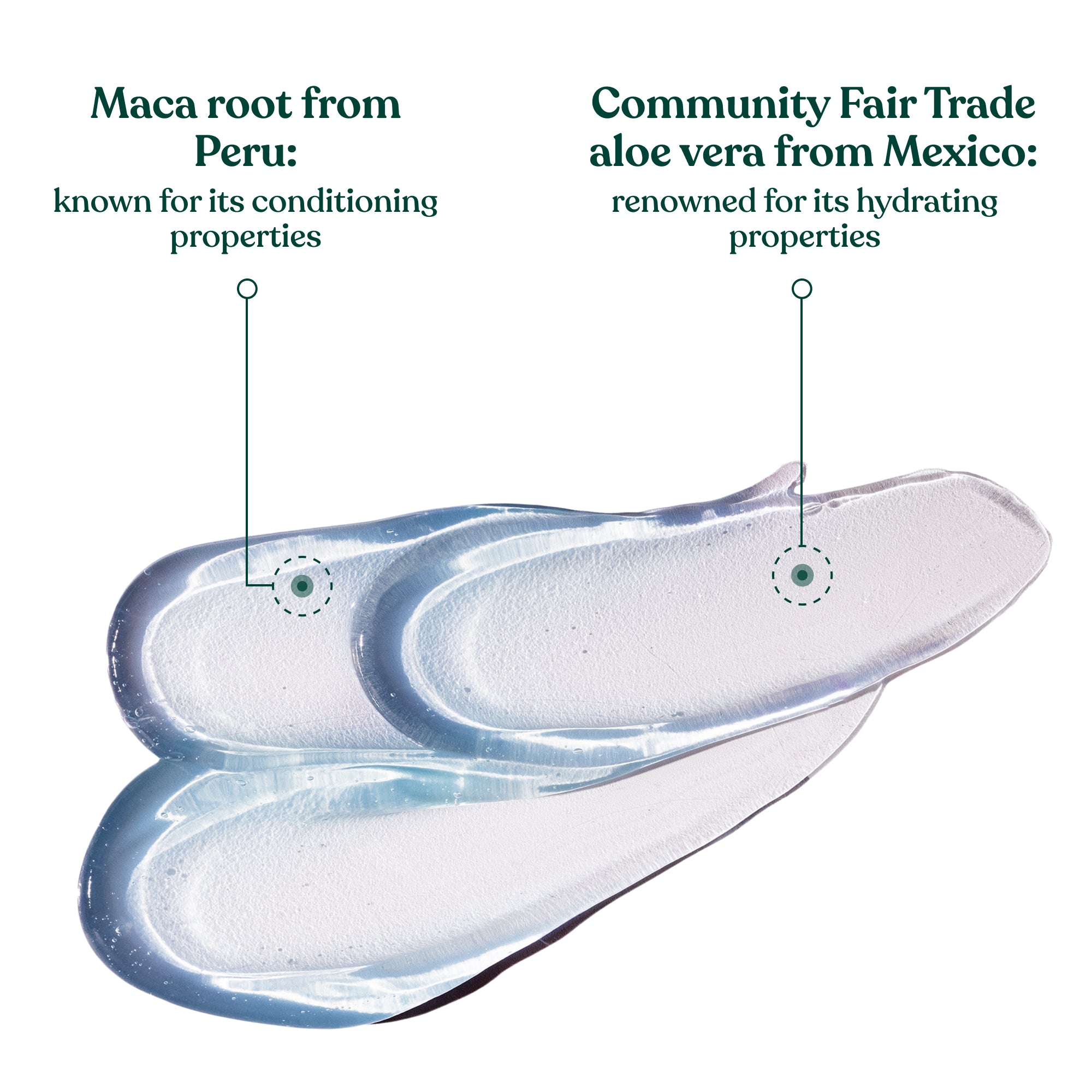 Maca Root & Aloe Post Shave Gel  Hero Ingredients and Benefits