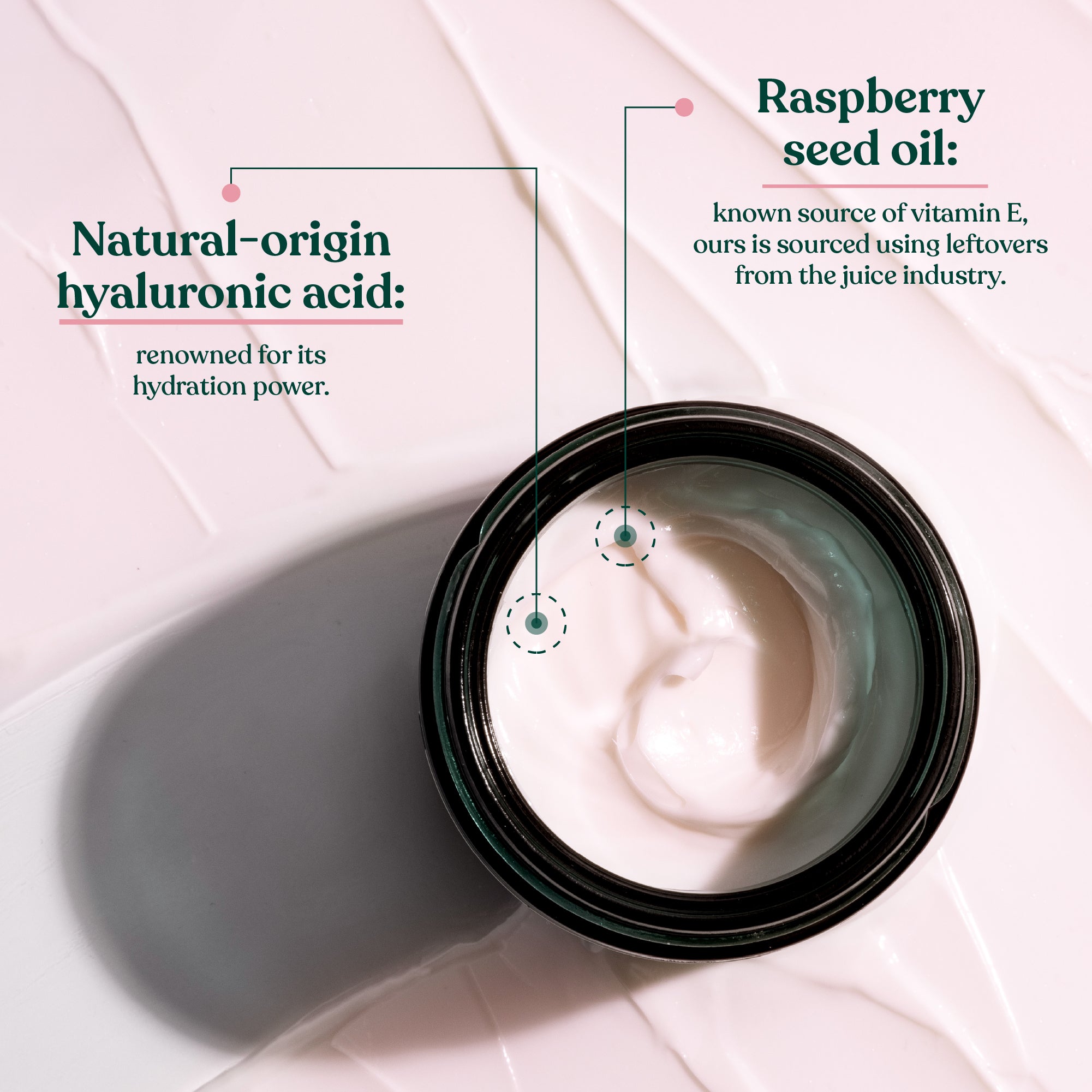 Moisture Day Cream Vitamin E - Hero ingredients & benefits - V1