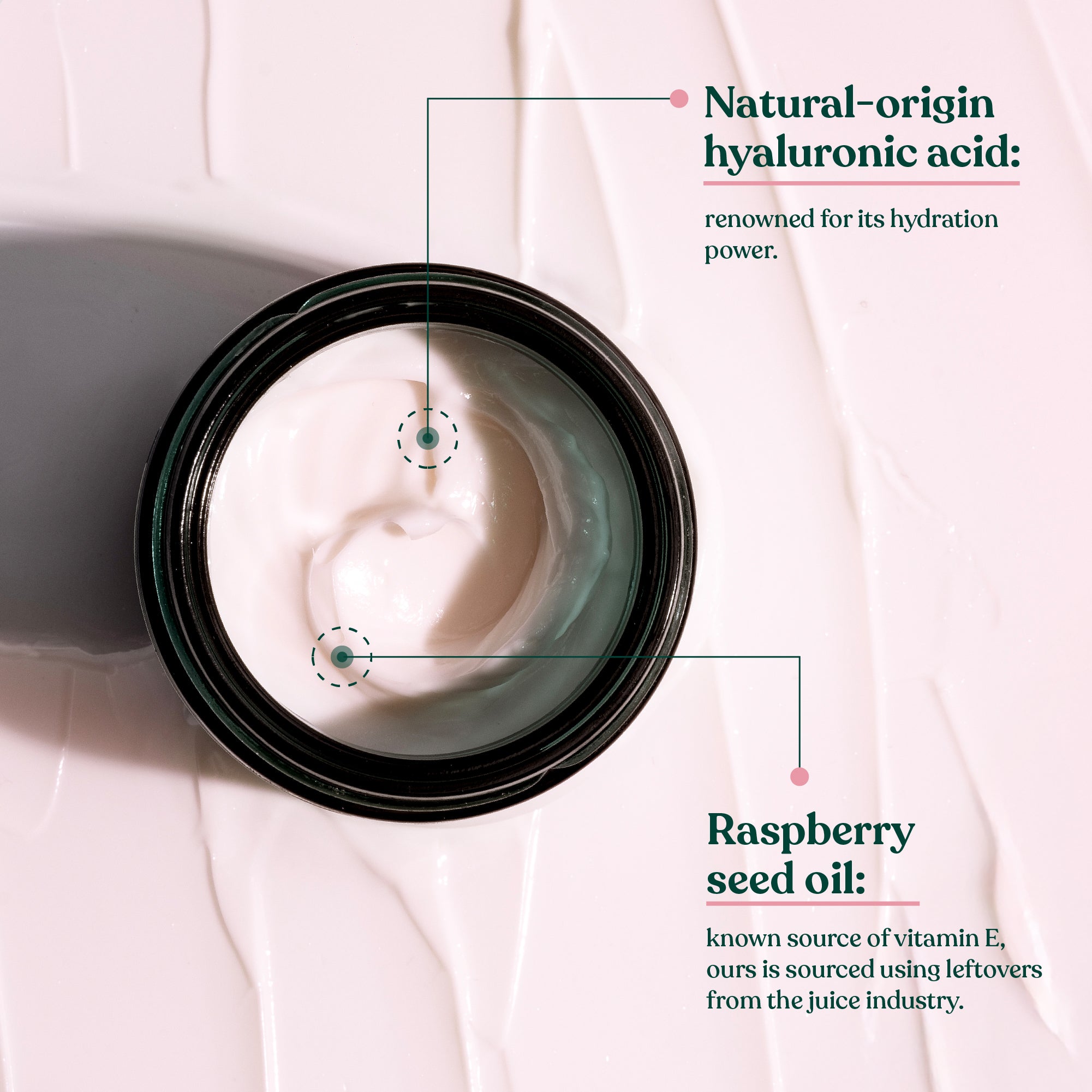 Moisture Day Cream Vitamin E - Hero ingredients & benefits - V2