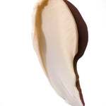Chocolate-dipped ice cream scoop on a white background