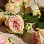 The Body Shop Full Rose Eau de Parfum