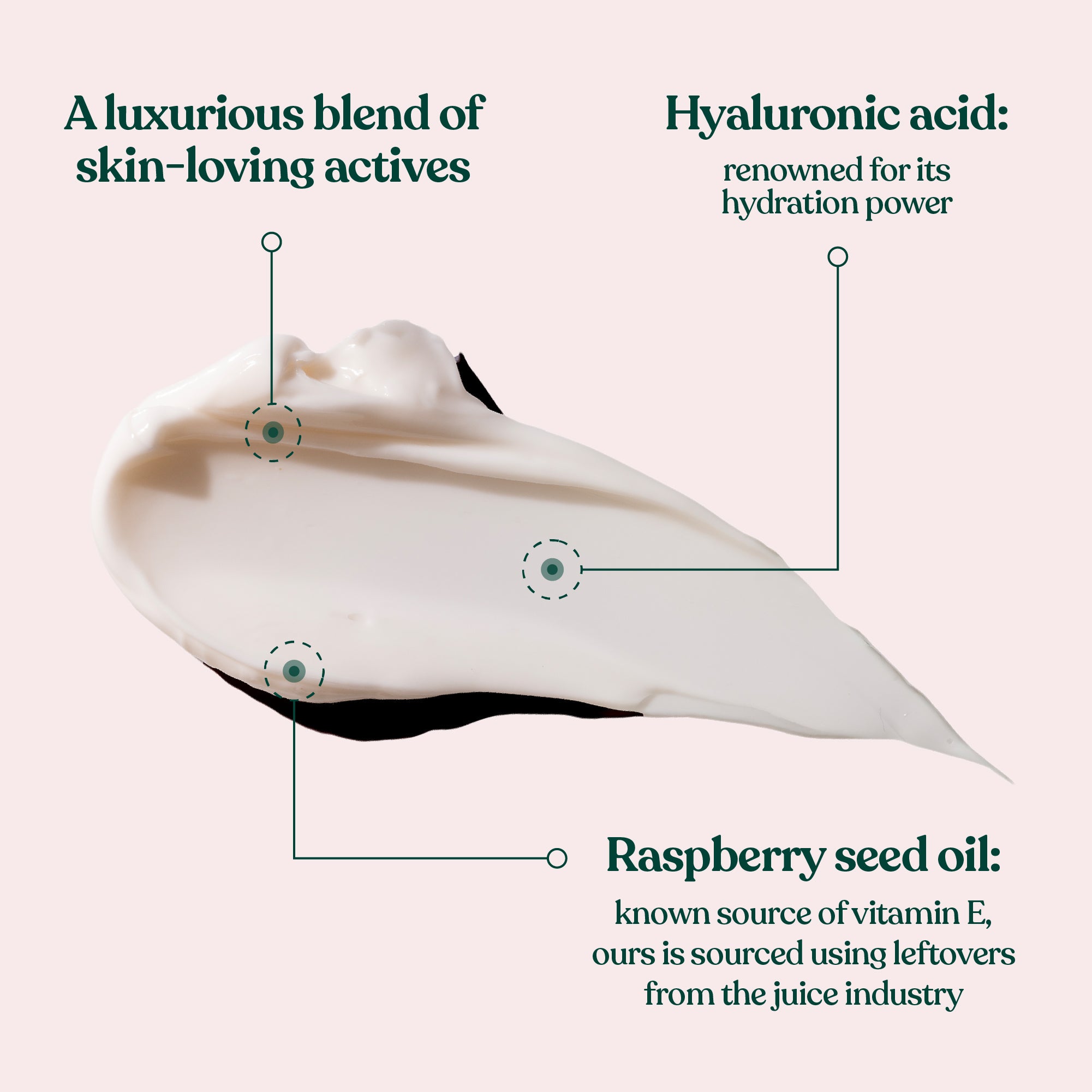 Vitamin E Nourishing Night Cream Hero Ingredients and Benefits